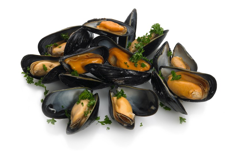 mussels_1